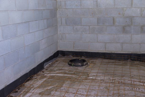 Waterproofing Contractor in Cleveland Heights, OH | Basement ...